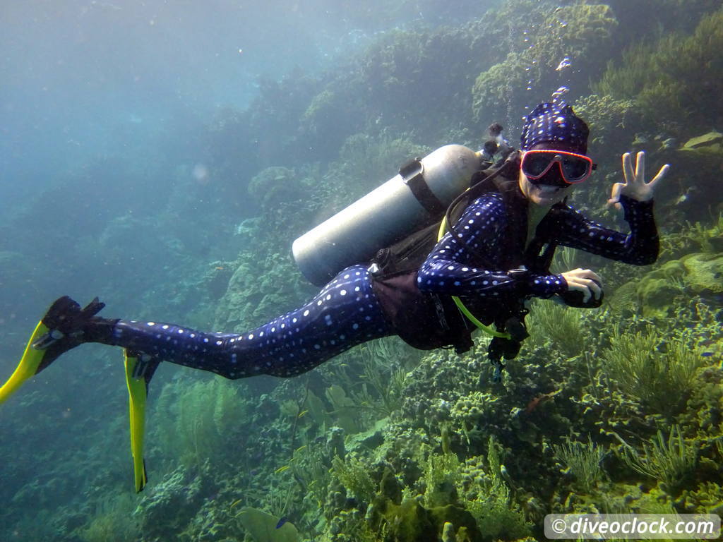 punta_rucia_dominican_republic_diveoclock-10.jpg