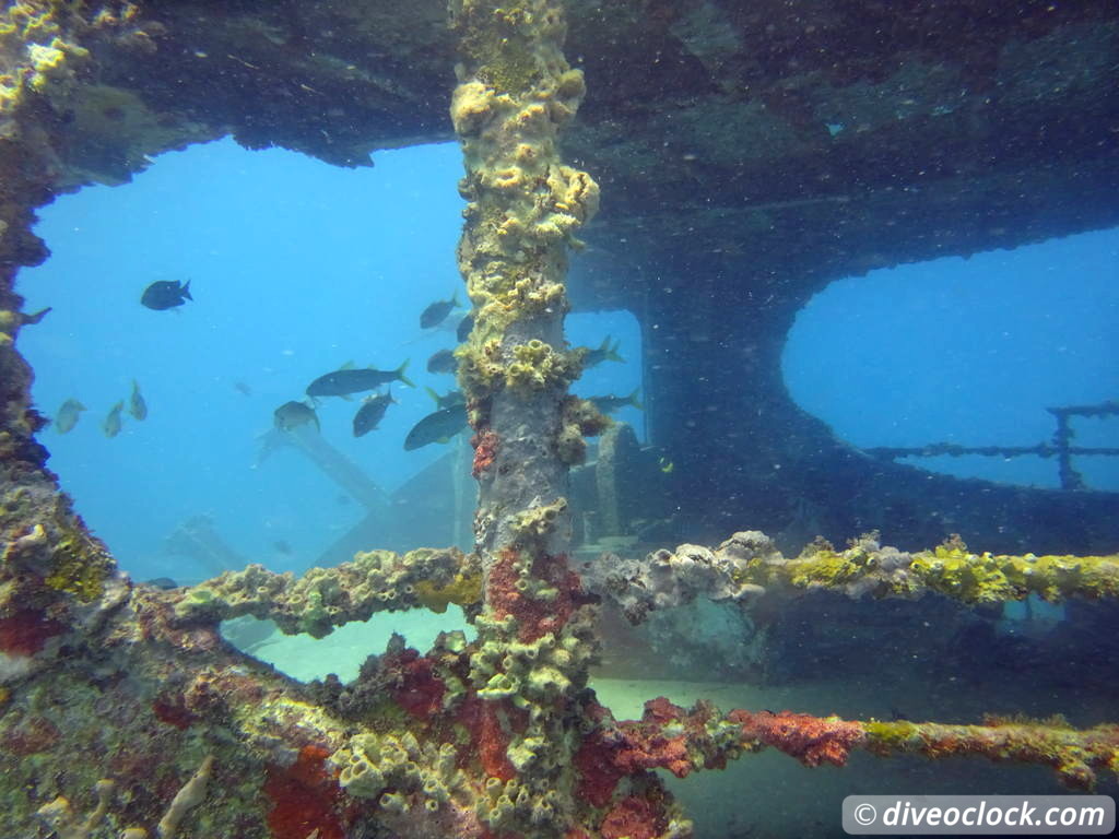 Bayahibe SCUBA diving around Saona Island Dominican Republic  Dominicanrepublic Saona Diveoclock 103