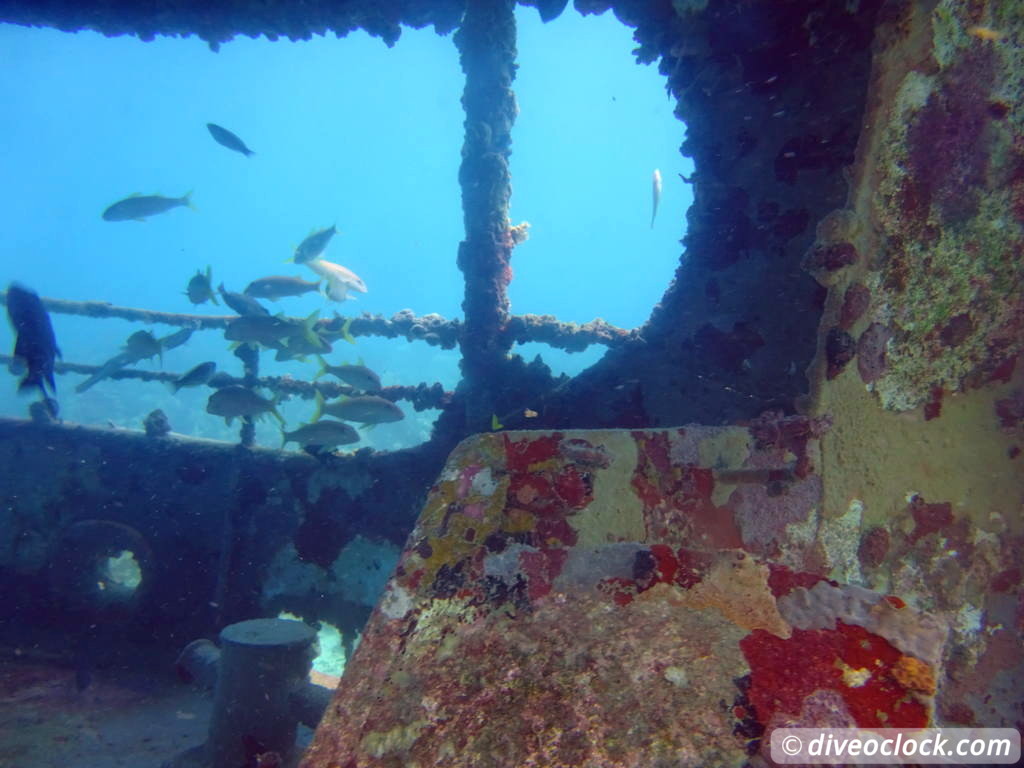 Bayahibe SCUBA diving around Saona Island Dominican Republic  Dominicanrepublic Saona Diveoclock 24