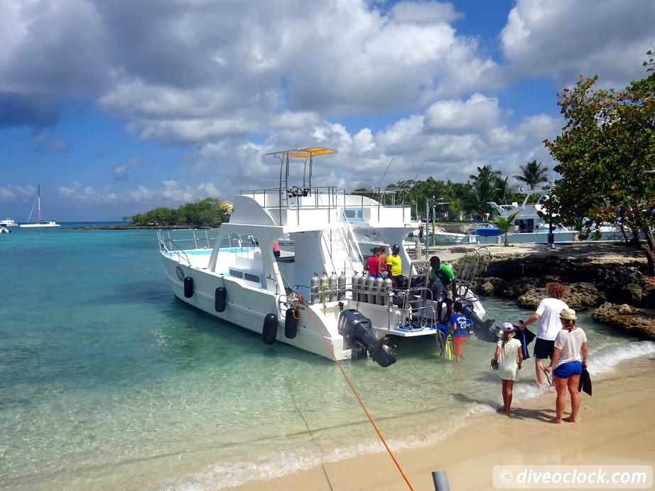 Bayahibe SCUBA diving around Saona Island Dominican Republic  Dominicanrepublic Saona Diveoclock 43