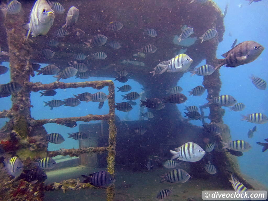 Bayahibe SCUBA diving around Saona Island Dominican Republic  Dominicanrepublic Saona Diveoclock 8