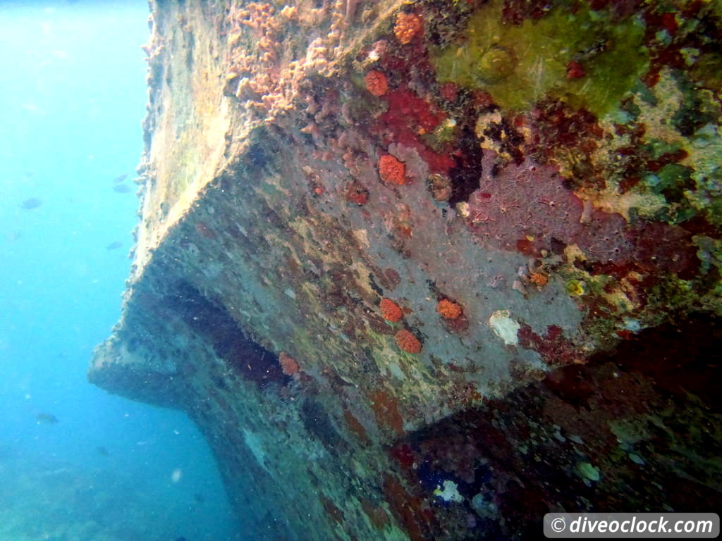 Bayahibe SCUBA diving around Saona Island Dominican Republic  Dominicanrepublic Saona Diveoclock 82