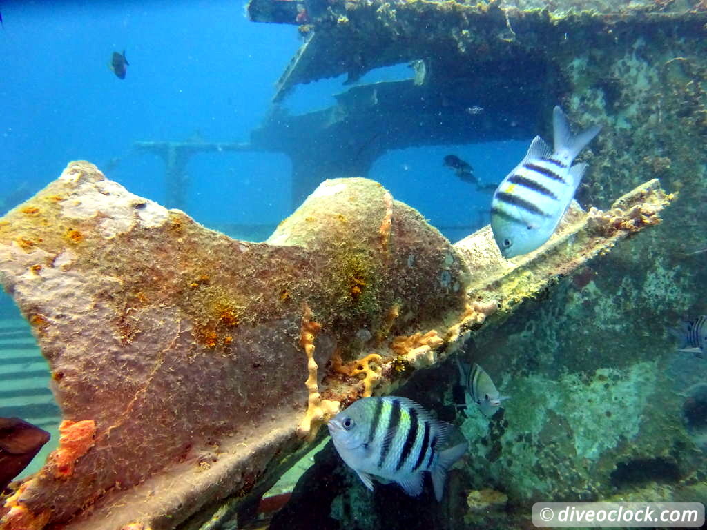 Bayahibe SCUBA diving around Saona Island Dominican Republic  Dominicanrepublic Saona Diveoclock 92