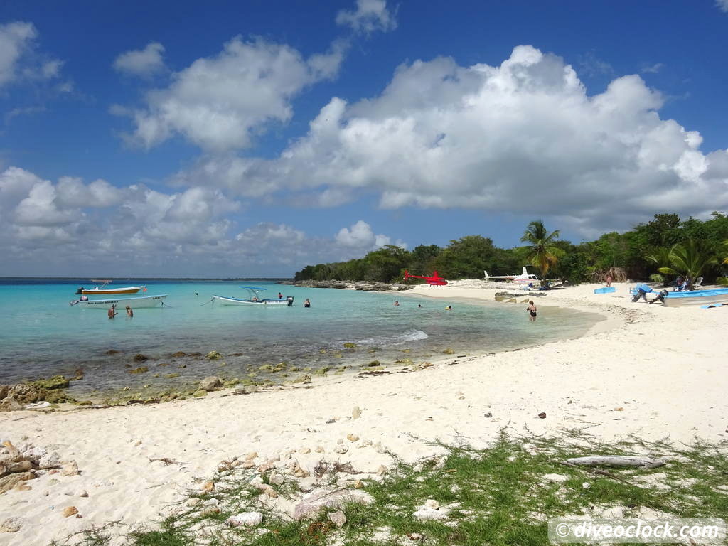 Bayahibe SCUBA diving around Saona Island Dominican Republic  Dominicanrepublic Saona Diveoclock 94