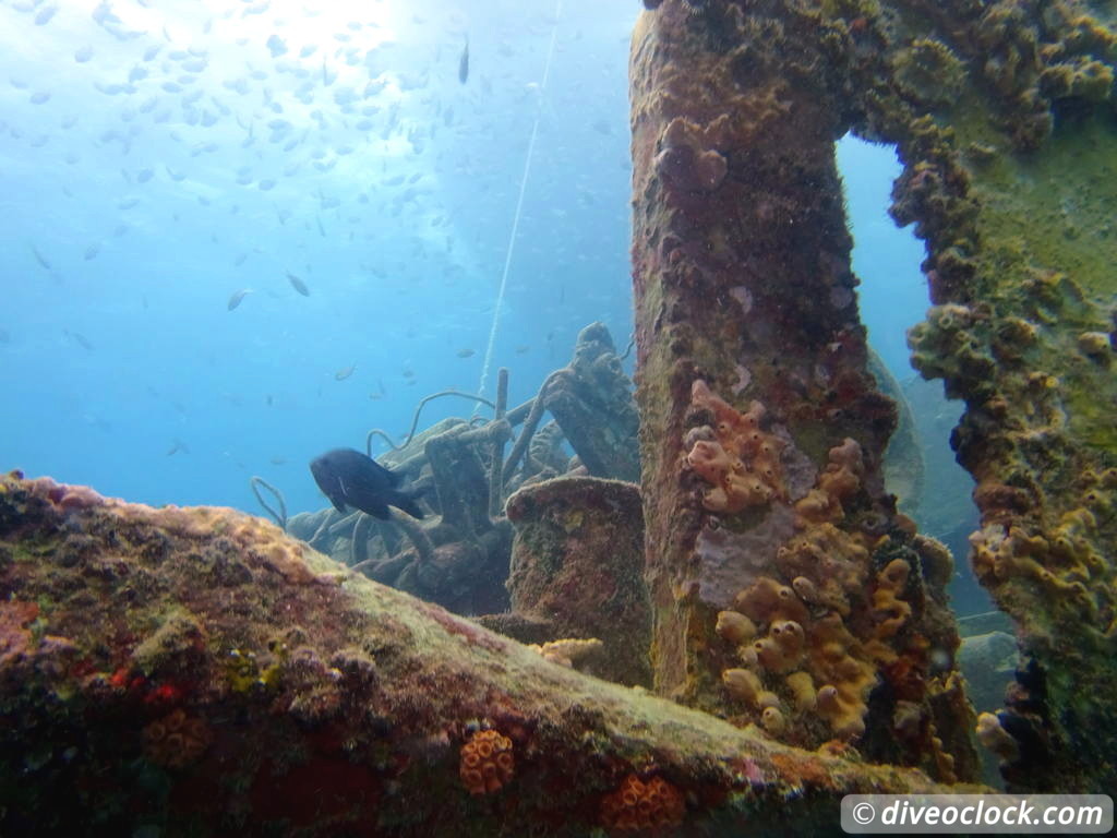 Bayahibe SCUBA diving around Saona Island Dominican Republic  Dominicanrepublic Saona Diveoclock 96