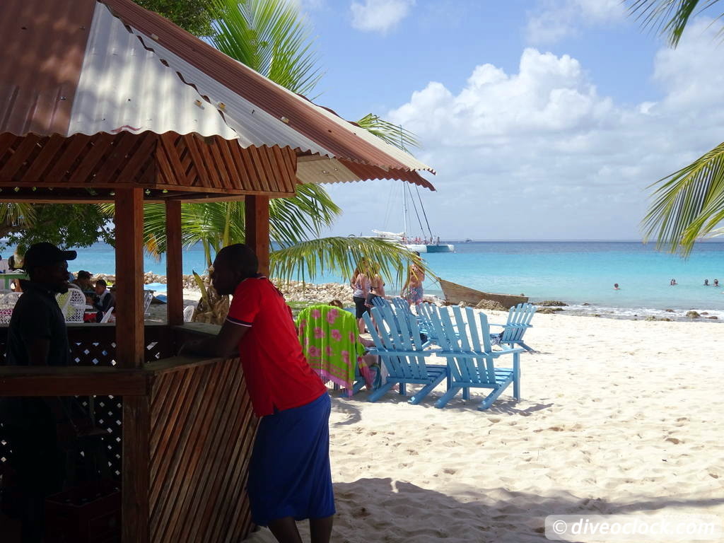 Bayahibe SCUBA diving around Saona Island Dominican Republic  Dominicanrepublic Saona Diveoclock 97