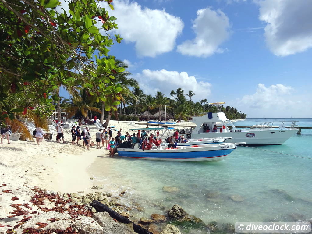 Bayahibe SCUBA diving around Saona Island Dominican Republic  Dominicanrepublic Saona Diveoclock 98