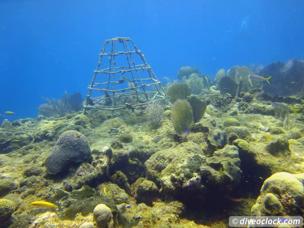 sosua_dominican_republic_diveoclock-81.jpg