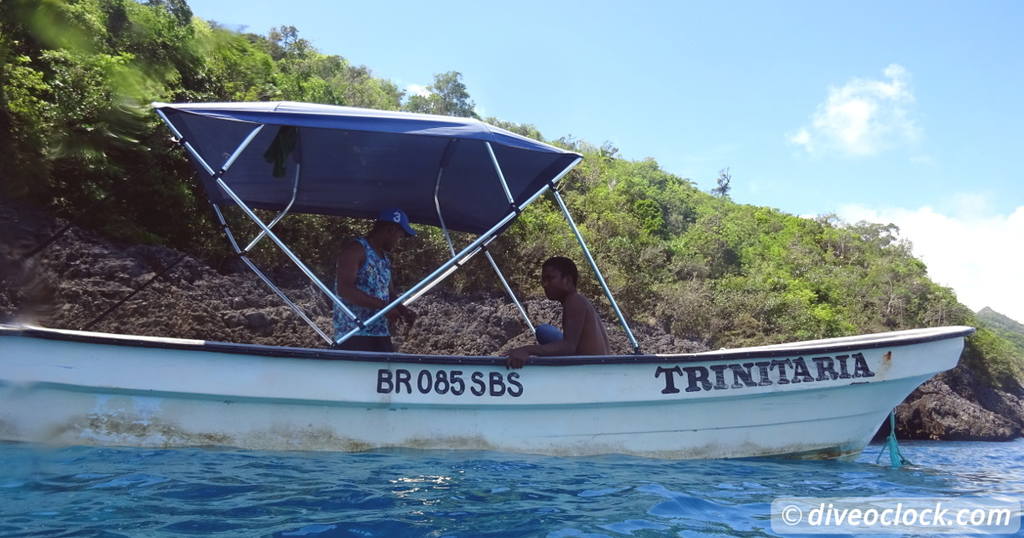 Searching for Seahorses in Sosua Bay Dominican Republic Caribbean DominicanRepublic CaboCabron
