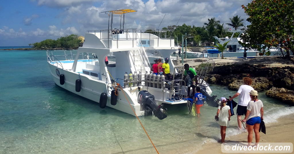 Searching for Seahorses in Sosua Bay Dominican Republic Caribbean DominicanRepublic Saona