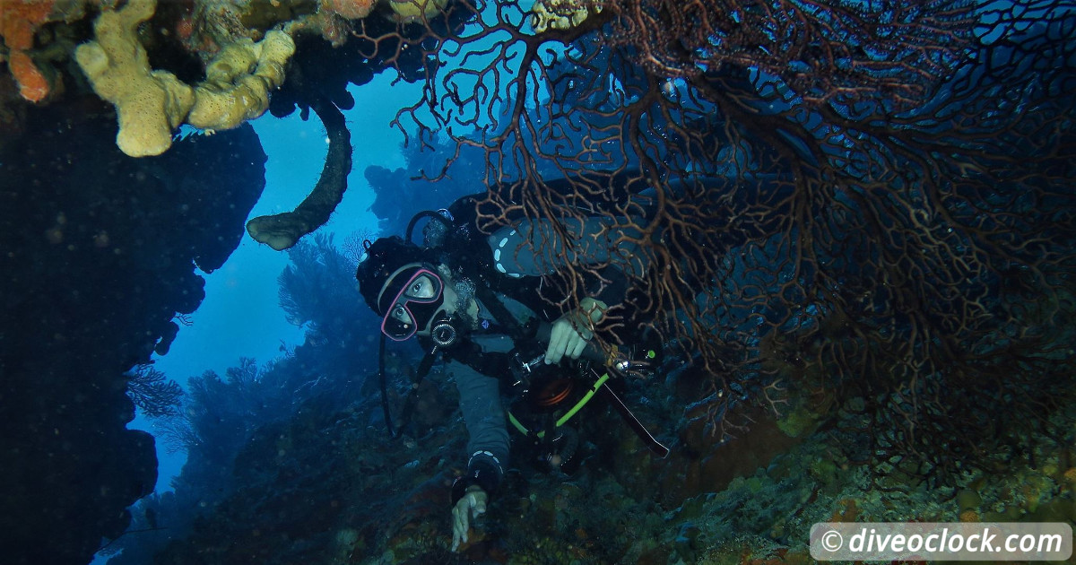 Dominica Diving in Volcanic Bubbles at Champagne Reef  Caribbean Guadeloupe SecPate 