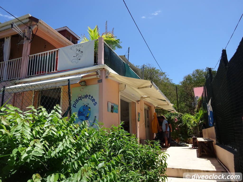 Les Saintes Diving the Legendary Sec Pâté Guadeloupe  Secpate Diveoclock 39