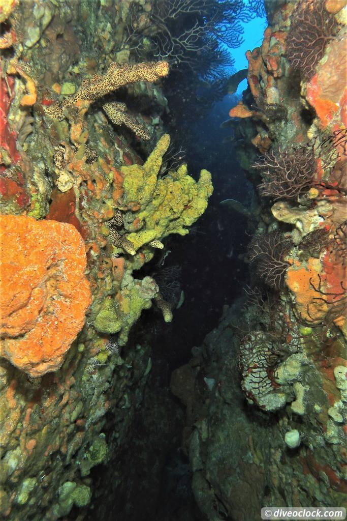 Les Saintes Diving the Legendary Sec Pâté Guadeloupe  Secpate Diveoclock 4