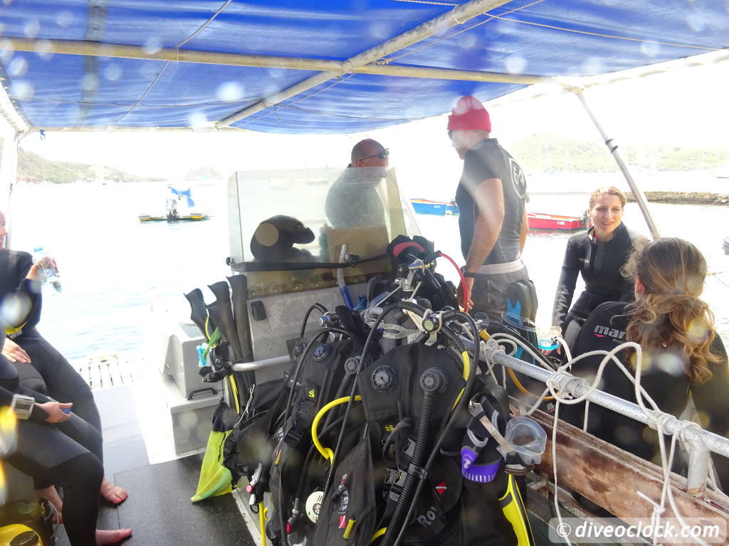 Les Saintes Diving the Legendary Sec Pâté Guadeloupe  Secpate Diveoclock 47