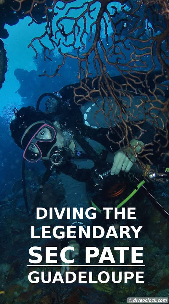 Les Saintes - Diving the Legendary Sec Pâté (Guadeloupe)