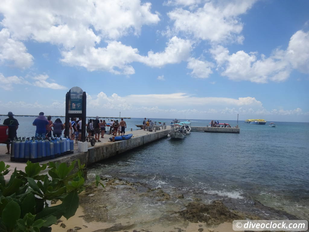 deep_blue_cozumel_diveoclock-6.jpg