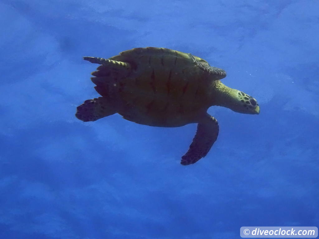 palancar_caves_cozumel_diveoclock-10.jpg