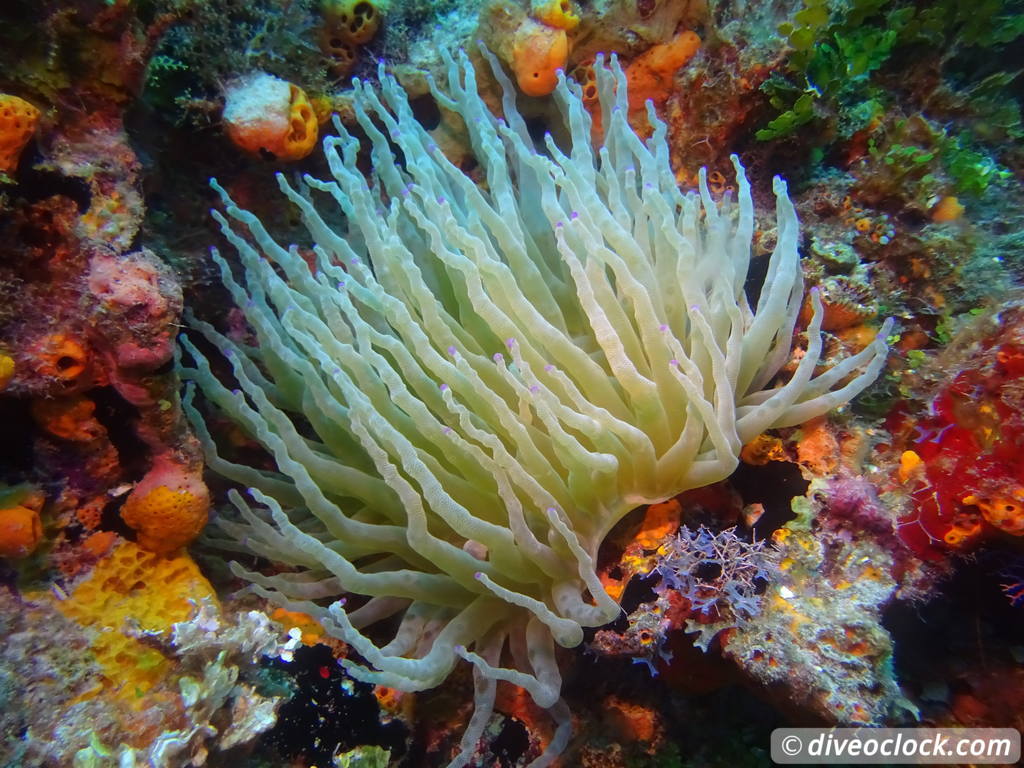 palancar_caves_cozumel_diveoclock-3.jpg