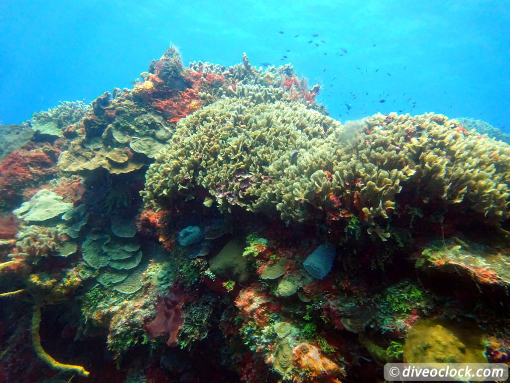 palancar_caves_cozumel_diveoclock-7.jpg