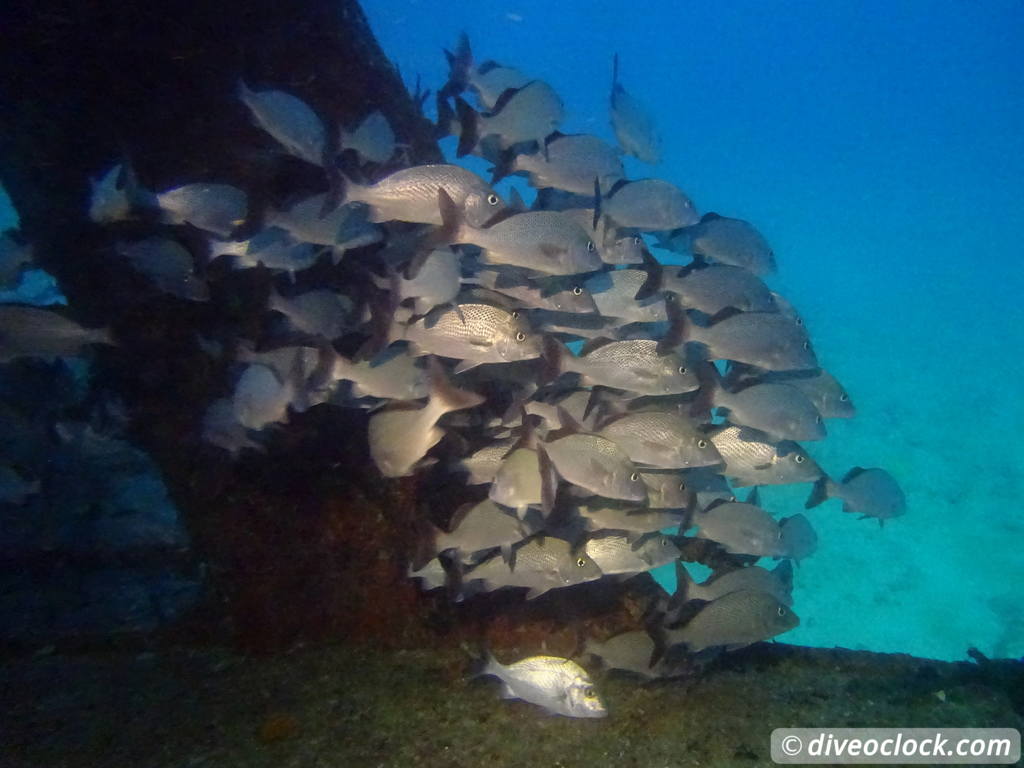 isla_mujeres_diveoclock-23.jpg