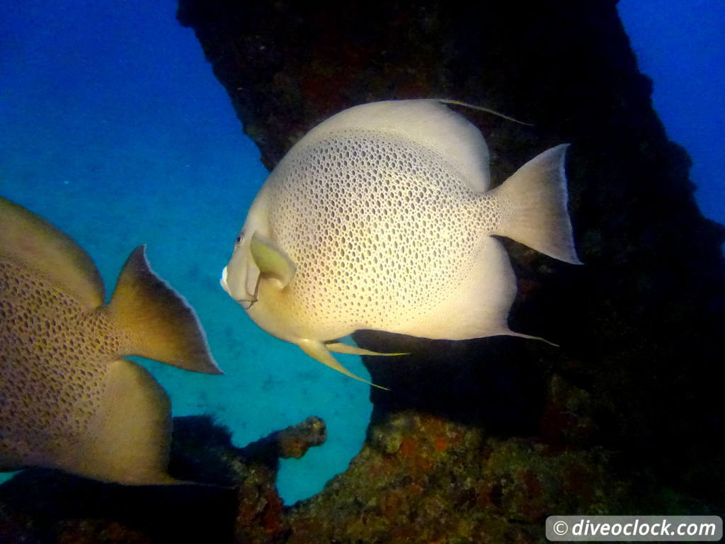 isla_mujeres_diveoclock-24.jpg