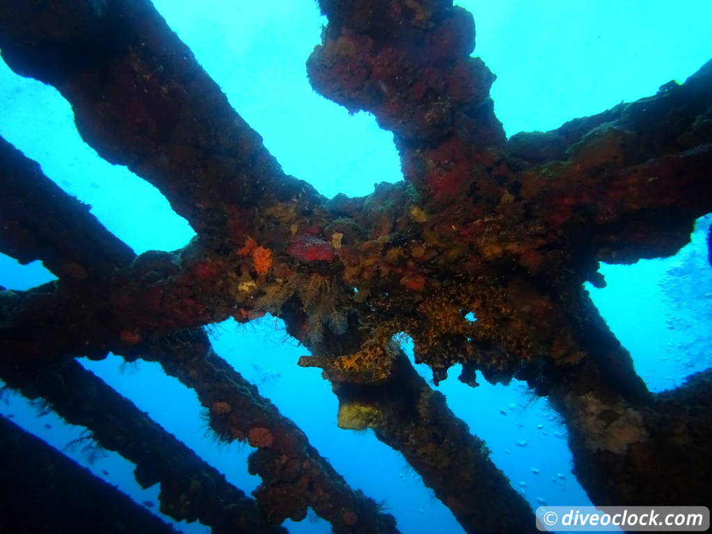 isla_mujeres_diveoclock-25.jpg