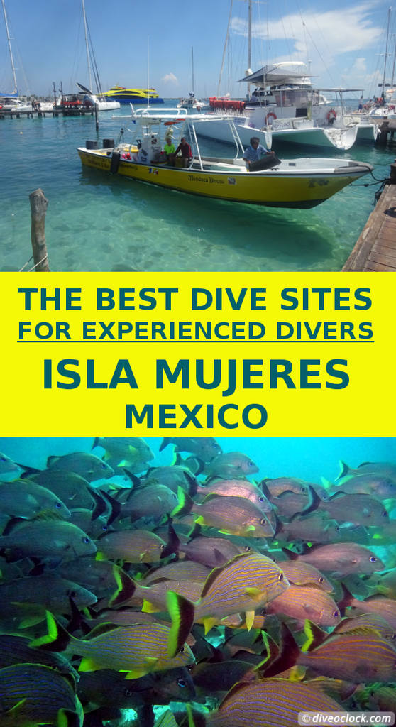 Isla Mujeres - The Best Dive Sites for Experienced Divers (Mexico)