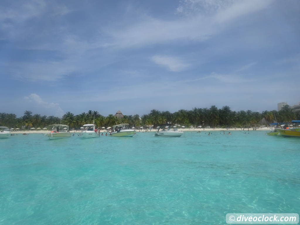 whale_sharks_isla_mujeres_diveoclock-31.jpg