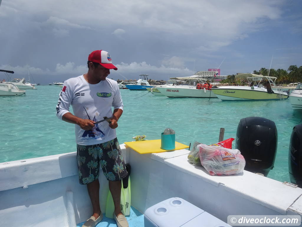 whale_sharks_isla_mujeres_diveoclock-32.jpg