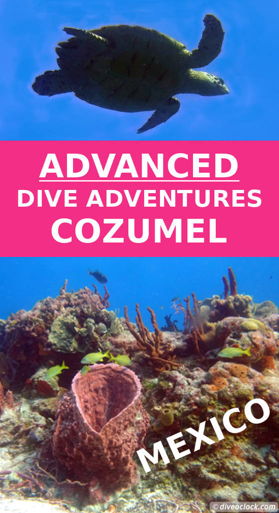 Cozumel Great Dive Sites for Experienced Divers (Mexico) Dive o'clock!