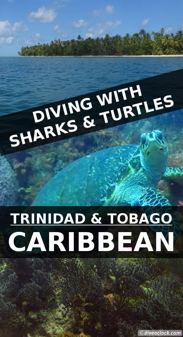 Trinidad & Tobago - Diving with Sharks and Turtles around Crown Point