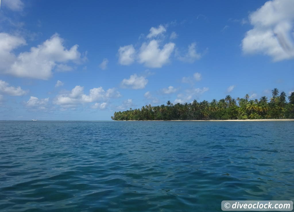 Trinidad Tobago Diving with Sharks and Turtles around Crown Point Tobago Crownpoint Diveoclock 57