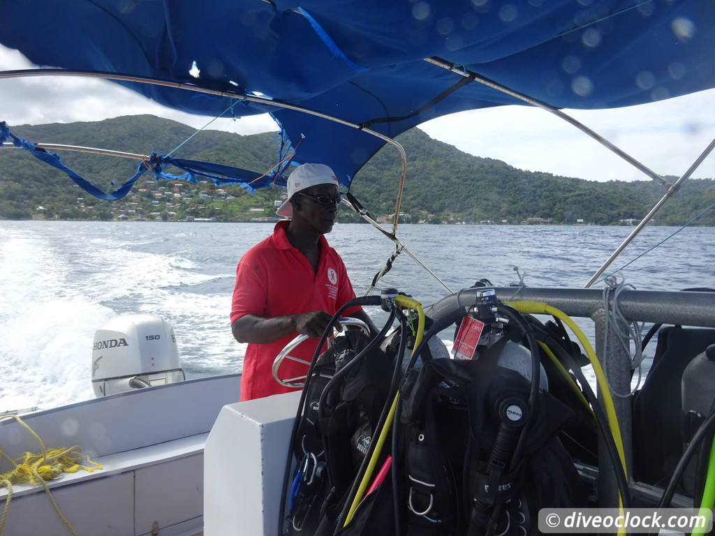 Tobago Exploring Diving Hot Spot Speyside at High Speed Tobago Speyside Diveoclock 6