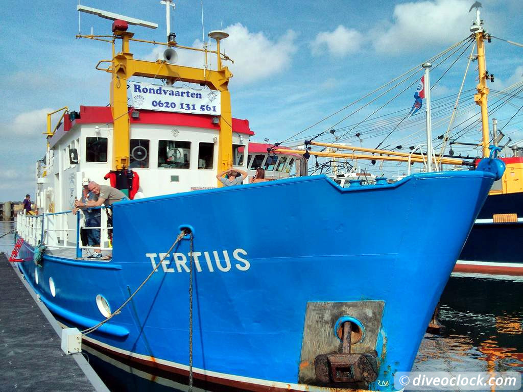 Zeeland The Best Diving in The Netherlands on a Liveaboard Tertius