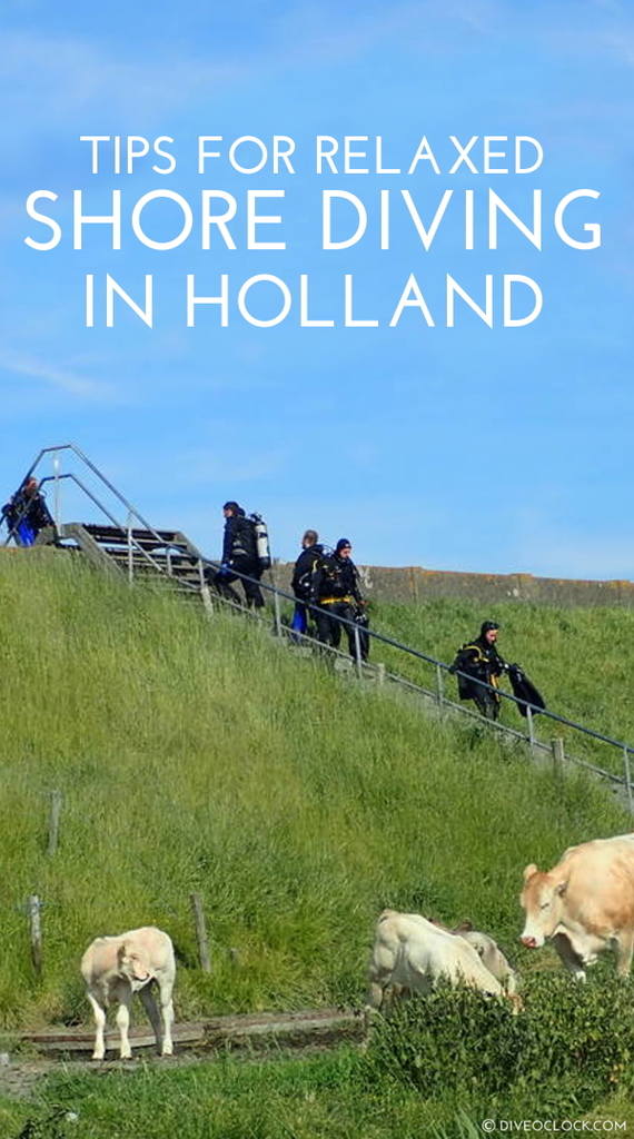 Holland SCUBA Diving - Tips For Relaxed Shore Diving in Zeeland