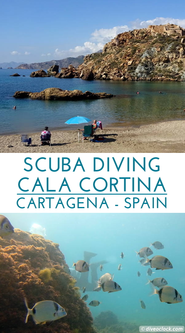 Cala Cortina - The Best Dive Spot of Cartagena (Spain)