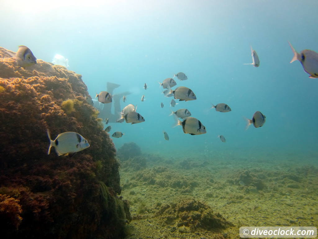 cala_cortina_spain_diveoclock-6.jpg