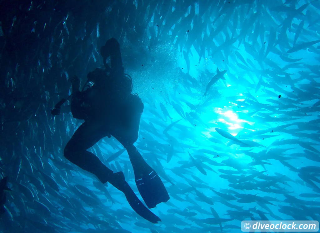 cabo_pulmo_mexico_diveoclock-11.jpg