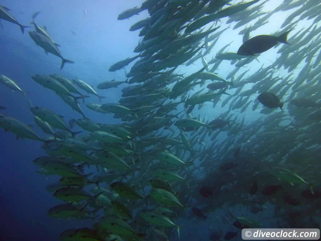 cabo_pulmo_mexico_diveoclock-13.jpg