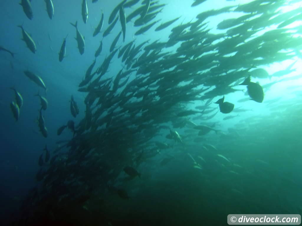 cabo_pulmo_mexico_diveoclock-14.jpg