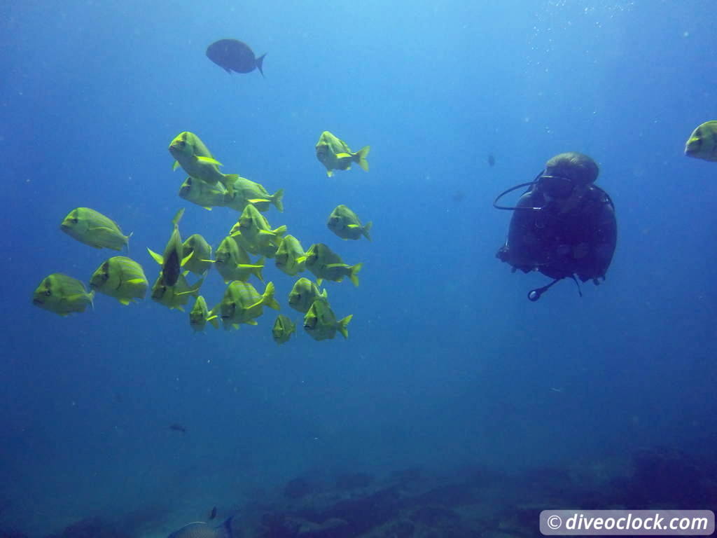 cabo_pulmo_mexico_diveoclock-29.jpg