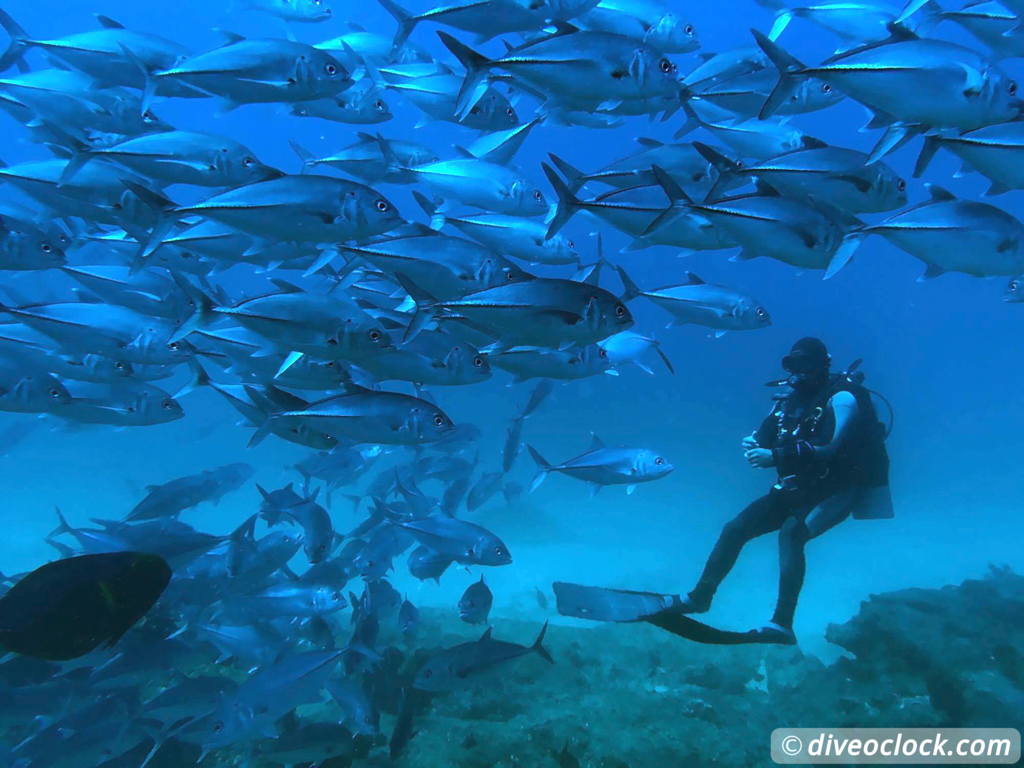 cabo_pulmo_mexico_diveoclock-33.jpg