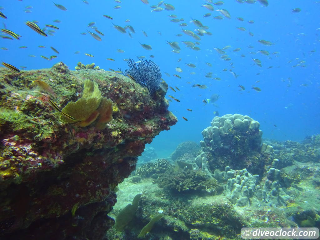 cabo_pulmo_mexico_diveoclock-34.jpg