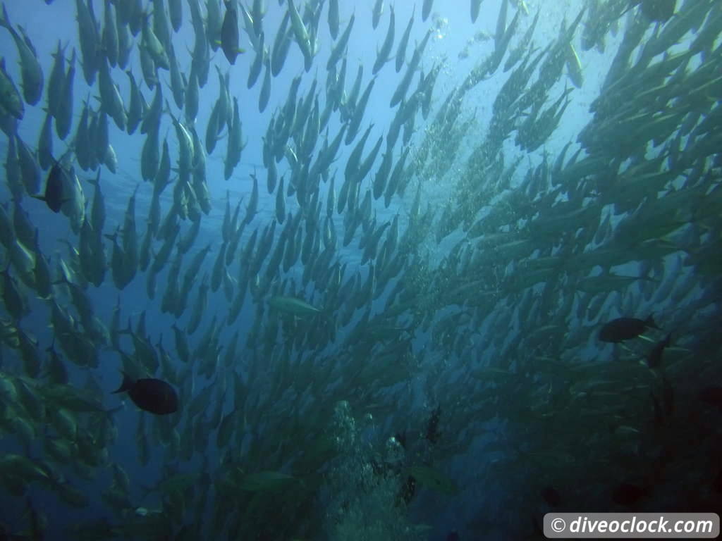 cabo_pulmo_mexico_diveoclock-9.jpg