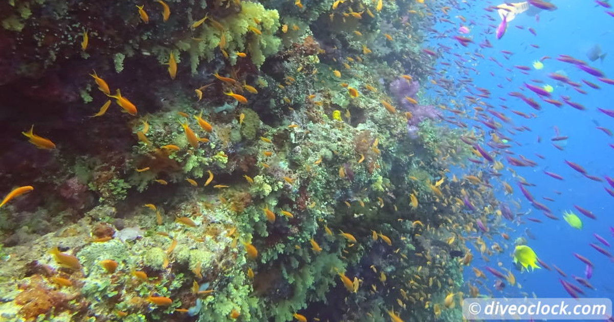 Florida Keys Selecting The Best Dive Area USA   Oceania Fiji Bligh Water 