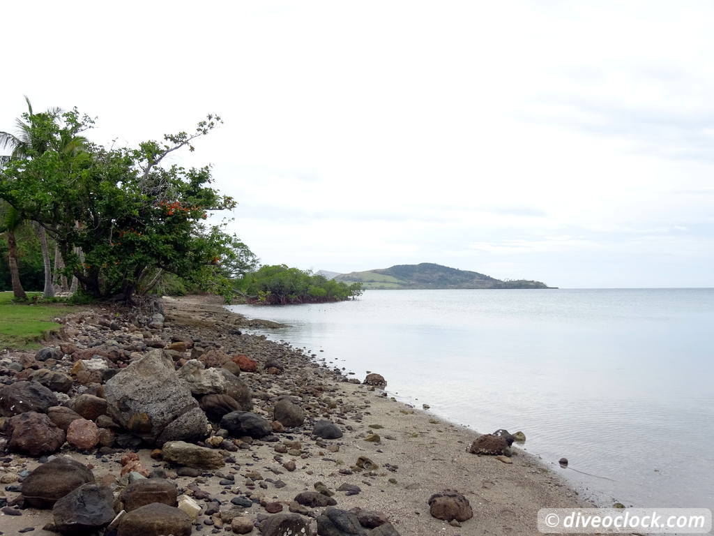 Bligh Water Fiji The Soft Coral Capital of the World  Fiji Bligh Water 26