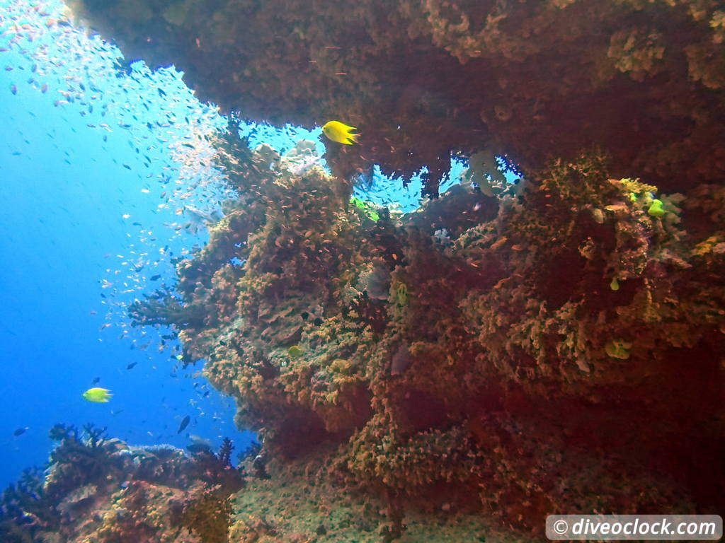 Bligh Water Fiji The Soft Coral Capital of the World  Fiji Bligh Water 7