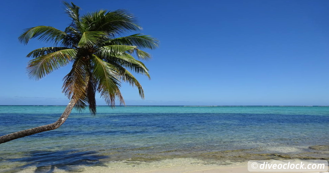 Apia Discovering New Dive Sites in Samoa  Oceania Fiji Road Trip 