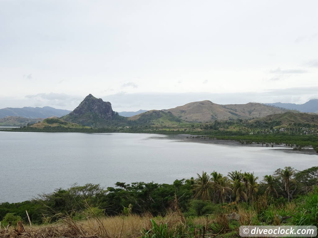 viti_levu_fiji_diveoclock-76.jpg