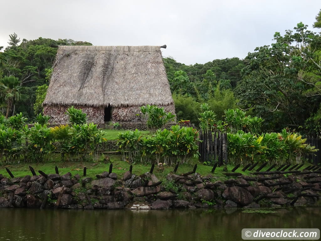 viti_levu_fiji_diveoclock-53.jpg